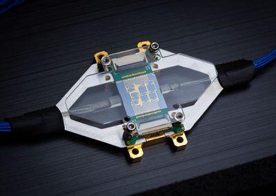 Characterization package for photonic IC