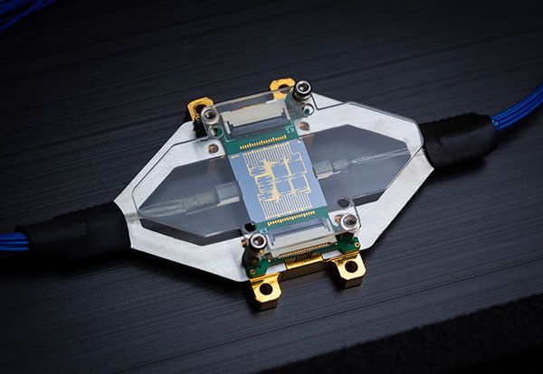 Characterization package for photonic IC