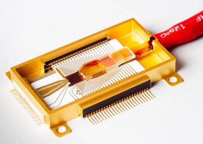 goldbox photonic package with RF connections and fiber array