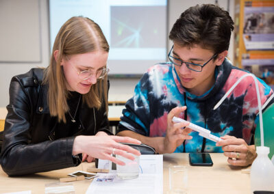 high school science experiment into polarization