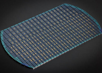 Singulated wafer of photonic chips