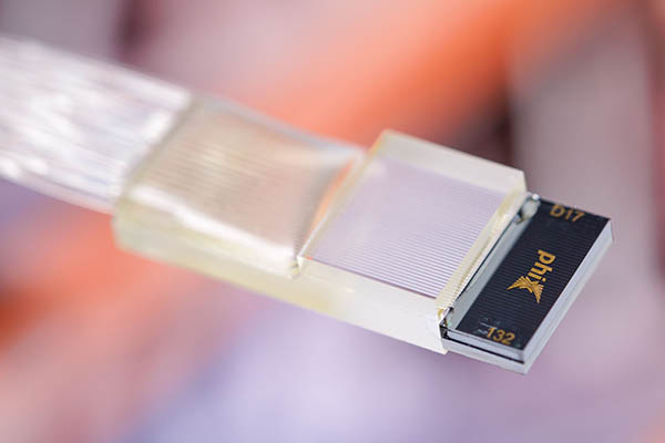 Fiber arrays with a 32-channel PHIX silicon nitride spot size converter.