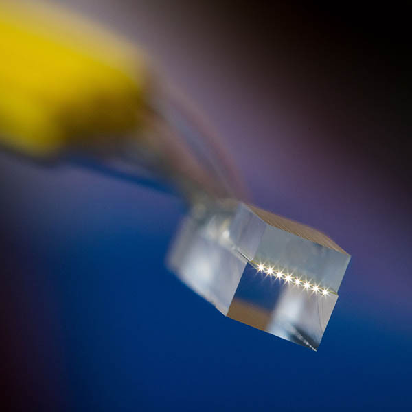 PHIX lensed fiber array with light coupled into it.