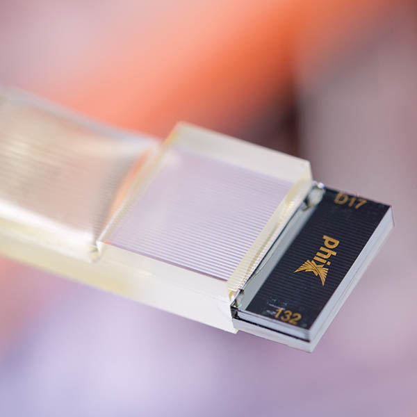 PHIX spot size converter attached to fiber array